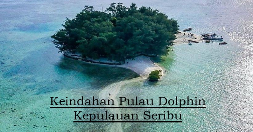 Keindahan Pulau Dolphin Kepulauan Seribu