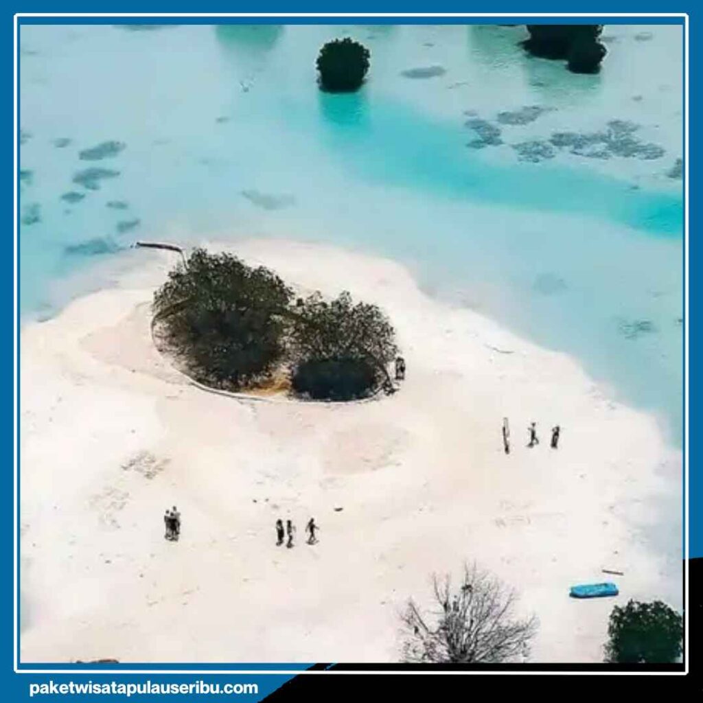 Murah Tapi Gak Murahan! Resort Pulau Seribu Ini Punya Fasilitas Privat Beach Cuma Buat Kamu